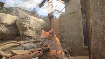 神戸どうぶつ王国に投稿された画像（2021/2/20）