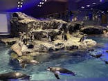 すみだ水族館に投稿された画像（2021/2/20）