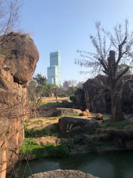 天王寺動物園に投稿された画像（2021/2/20）