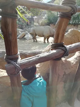 天王寺動物園に投稿された画像（2021/2/20）