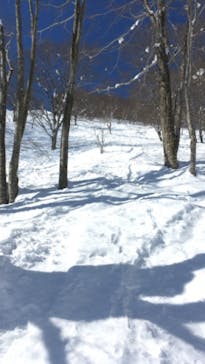 白馬コルチナスキー場に投稿された画像（2021/2/20）