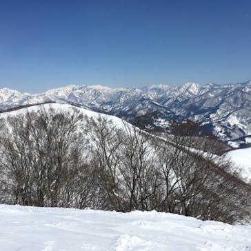 白馬コルチナスキー場に投稿された画像（2021/2/20）