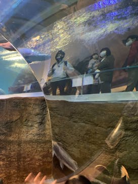 株式会社Gに投稿された画像（2021/2/20）