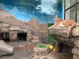 天王寺動物園に投稿された画像（2021/2/20）