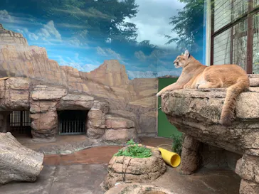 天王寺動物園に投稿された画像（2021/2/20）