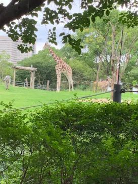 天王寺動物園に投稿された画像（2021/2/20）