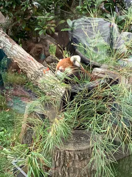 天王寺動物園に投稿された画像（2021/2/20）