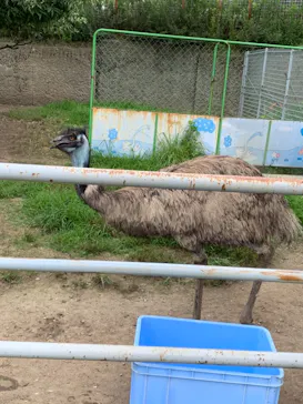天王寺動物園に投稿された画像（2021/2/20）