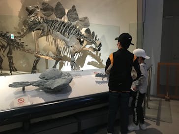 国立科学博物館に投稿された画像（2021/2/20）