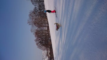 野沢温泉スキー場に投稿された画像（2021/2/20）