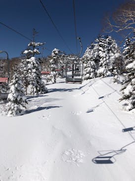 志賀高原中央エリアスキー場に投稿された画像（2021/2/20）