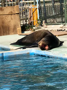 天王寺動物園に投稿された画像（2021/2/20）