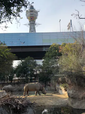 天王寺動物園に投稿された画像（2021/2/20）