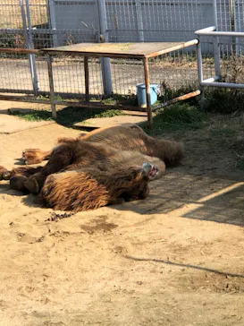 天王寺動物園に投稿された画像（2021/2/20）