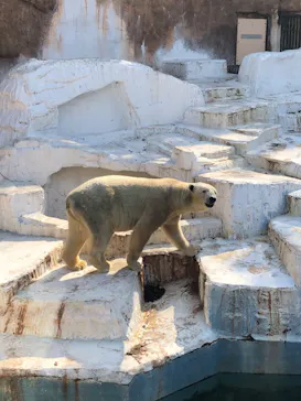 天王寺動物園に投稿された画像（2021/2/20）