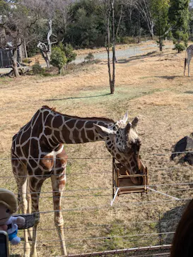 天王寺動物園に投稿された画像（2021/2/20）