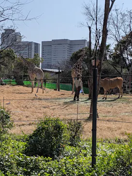 天王寺動物園に投稿された画像（2021/2/20）