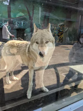 天王寺動物園に投稿された画像（2021/2/20）