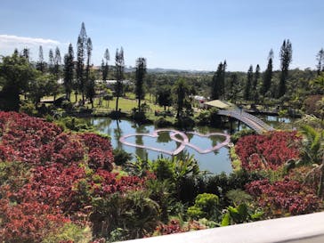 美らヤシパークオキナワ・東南植物楽園に投稿された画像（2021/2/20）