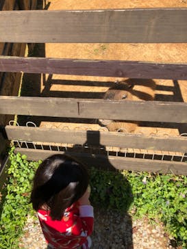 美らヤシパークオキナワ・東南植物楽園に投稿された画像（2021/2/20）