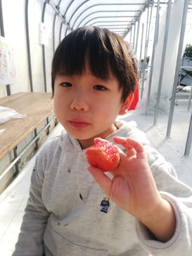 井上寅雄農園に投稿された画像（2021/2/20）