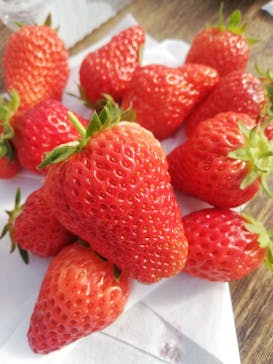 井上寅雄農園に投稿された画像（2021/2/20）