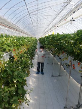 井上寅雄農園に投稿された画像（2021/2/20）