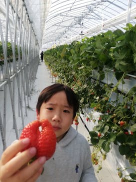 井上寅雄農園に投稿された画像（2021/2/20）