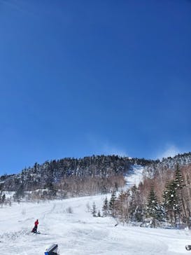 Mt.乗鞍スノーリゾートに投稿された画像（2021/2/20）