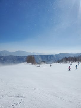 Mt.乗鞍スノーリゾートに投稿された画像（2021/2/20）