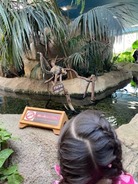 那須どうぶつ王国に投稿された画像（2021/2/20）