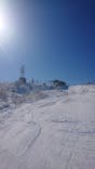 野沢温泉スキー場に投稿された画像（2021/2/20）
