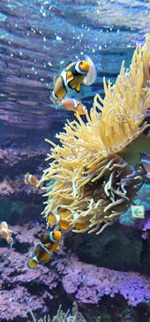 サンシャイン水族館に投稿された画像（2021/2/20）