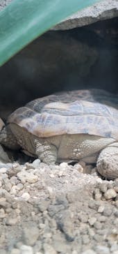 サンシャイン水族館に投稿された画像（2021/2/20）