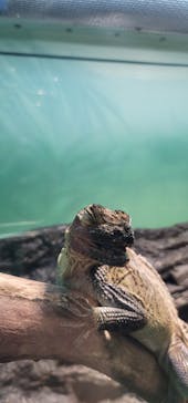 サンシャイン水族館に投稿された画像（2021/2/20）