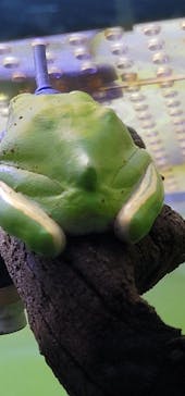 サンシャイン水族館に投稿された画像（2021/2/20）