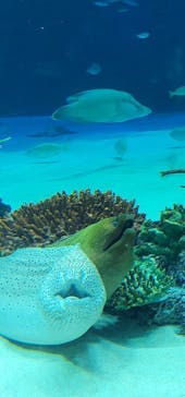 サンシャイン水族館に投稿された画像（2021/2/20）