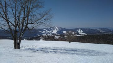 菅平高原スノーリゾートに投稿された画像（2021/2/20）