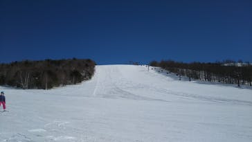 菅平高原スノーリゾートに投稿された画像（2021/2/20）