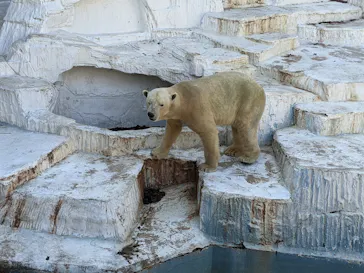 天王寺動物園に投稿された画像（2021/2/20）