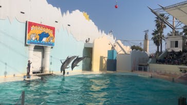 株式会社Gに投稿された画像（2021/2/20）