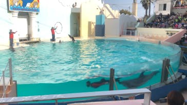 株式会社Gに投稿された画像（2021/2/20）