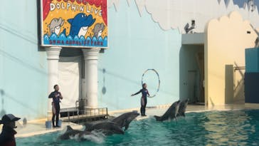 株式会社Gに投稿された画像（2021/2/20）