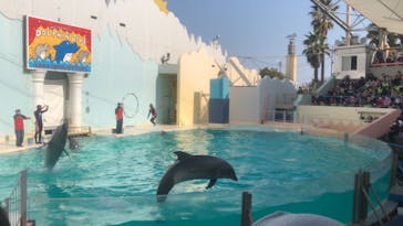 株式会社Gに投稿された画像（2021/2/20）