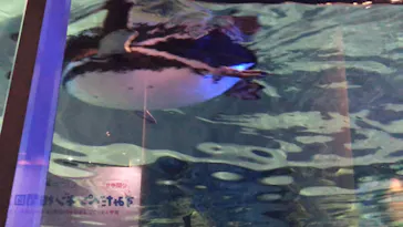 すみだ水族館に投稿された画像（2021/2/21）