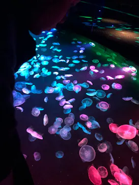 すみだ水族館に投稿された画像（2021/2/21）