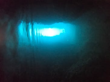 MalDive（モルダイブ）に投稿された画像（2021/2/21）