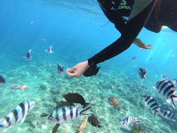 MalDive（モルダイブ）に投稿された画像（2021/2/21）