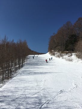 八千穂高原スキー場に投稿された画像（2021/2/21）