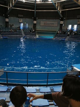 マクセル アクアパーク品川に投稿された画像（2021/2/21）